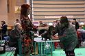 Crufts2011_2 1169